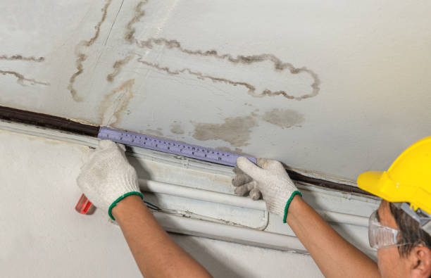 Reliable Water Damage contractor in Saratoga, WY by Water Damage Irwin